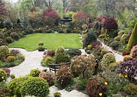 Aerial view of the garden with lawn, bench and curved stone paths surrounded by Acer palmatum 'Sango-kaku', syn. Acer palmatum 'Senkaki', Acer palmatum 'Trompenburg', topiary balls golden yew Taxus baccata 'Standishii', Abies procera 'Glauca Prostrata', Photinia fraseri 'Red Robin', Euonymus fortunei Emerald 'n' Gold, Carex oshimensis 'Evergold', Ilex x altaclerensis 'Golden King' and tulips. 