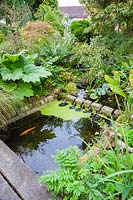 Stream framed with ferns, Rheum officinale and grasses.