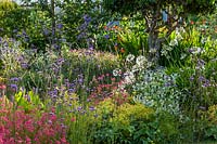 Summer border at Old Erringham Cottage