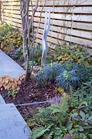 Hydrangea, Hellebore, mixed Epimedium including E. youngianum 'Niveum' and Ferns. The sculpture cleverly echos the shape of the tree a multi- stemmed Amelanchier lamarckii