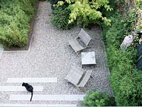 Small suburban garden viewed from above with cat