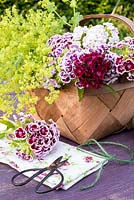 Cut Dianthus barbatus - Sweet Williams in basket, napkin, glass vases and string for making table decorations