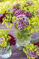Flower arrangement Dianthus barbartus - Sweet Williams and alchemilla mollis in glass vase