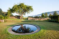 Country garden with a formal circular pond set into a lawn to reflect an old Apple tree - Summer August