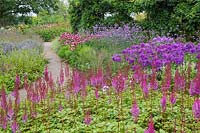 Astilbe chinensis 'Purpurlanze', Phlox paniculata, Echinacea purpurea, Verbena bonariensis, Persicara, Baptisia australis, Inula magnifica - Millennium Garden - Pensthorpe Gardens, Norfolk - Late July 2017