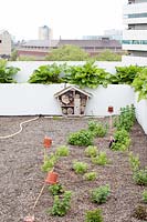 Rooftop kitchen garden in the centre of Rotterdam, Holland.