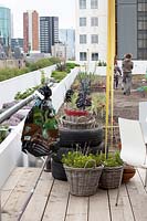 Rooftop kitchen garden in the centre of Rotterdam, Holland.