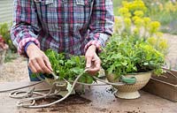 Securing rope around handles of colander ready to hang