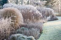 Foggy Bottom Garden, The Bressingham Gardens, January.