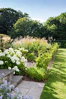 The Picket Beds. Hydrangea arborescens 'Annabelle', Galega officinalis,Achillea 'Gold Plate', Stipa gigantea. Young hedge of Carpinus betulus - Hornbeam. Hill House, Glascoed, Monmouthshire, Wales. 