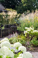 The Picket Beds. Hydrangea arborescens 'Annabelle', Achillea 'Gold Plate', Stipa gigantea, Leucanthemum x superbum, Valeriana officinalis, Verbena bonariensis. Hill House, Glascoed, Monmouthshire, Wales. 