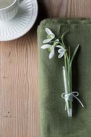 Table place setting with Galanthus