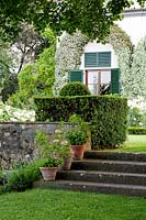Steps leading to the house with Rincospermum on the wall. La Limonaia Garden. Designed by Arabella Lennox Boyd. Fiesole. Florence. Italy