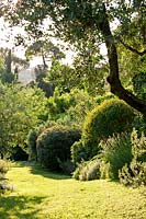 Lush green border. La Limonaia Garden. Designed by Arabella Lennox Boyd. Fiesole. Florence. Italy
