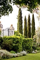 Mixed border. La Limonaia Garden. Designed by Arabella Lennox Boyd. Fiesole. Florence. Italy