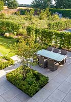 An elevated view of the newly contemporary English garden in Cheshire, designed by Louise Harrison-Holland. The patio area, with garden furniture leads into a lawned walled garden. Beyond is an orchard of plum, apple and pear trees, underplanted with wildflowers. Planting on the patio includes Amelanchier lamarckii and clipped box hedging.