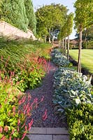 Long herbaceous borders along an old garden wall designed by Louise Harrison-Holland. Plants include pleached Pyrus calleryana 'Chanticleer', Japanese anemones, Stachys, Persicaria, Ophiopogon planiscapus 'Nigrescens' and Miscanthus sinensis 'Kleine Fontaine.