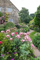 Path up the garden with Rosa 'Nathalie Nypels', Geranium psilostemon, Yew, and Papaver somniferum