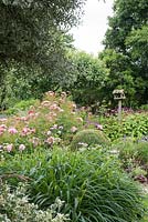 View across the garden with Hemerocallis, clipped Box, Rosa 'Nathalie Nypels' and Persicaria