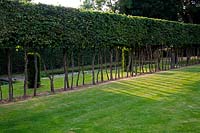 The stilted Hornbeam hedge, drum Yew and moat make compelling design features