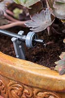 Irrigation drip system installed in rustic pots