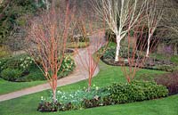 Colourful Winter view at The Savill Garden, Surrey.