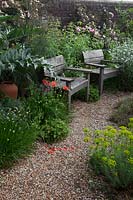 Oak chairs in walled gravel garden with  Cardoon, bronze Fennel, Euphorbia seguieriana ssp niciciana, self sown Opium Poppy, Lychnis coronaria 'Alba' - Rose Campion, red wild Poppies, rambling roses and Thyme.
