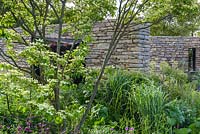 Multi-stemmed Cornus kousa with cream yellow flowerheads - The Wedgwood Garden: A Classic Re-imagined - RHS Chatsworth Flower Show 2017 -Designer: Sam Ovens - Built by Swatton Landscape, James Bird Landscapes - Gold