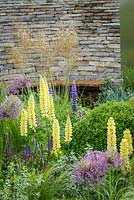 Perennial planting with Allium hollandicum 'Purple Sensation', Salvia 'Caradonna', yellow Lupin and dry stone walling in Cruse Bereavement Care: 'A Time for Everything' - RHS Chatsworth Flower Show 2017 - Designer: Neil Sutcliffe - Sponsor: London Stone