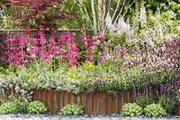 Spring border with Primula pulverulenta - candelabra primroses, Betula pendula Jaquemontii, Syringa meyeri 'Palibin', Delphinium pacific hybrids 'Galahad', Lavandula stoechas 'Devonshire compact', Lavender stoechas 'Lusi Pink', Lavandula stoechas 'Regal Splendour', Lavandula stoechas 'Lusi Purple', Sedum 'Thundercloud', Scabiosa columbaria 'Mariposa Blue', Acer palmatum dissectum atropurpureum. Crane Garden Buildings stand. Designer: Peter Mortin