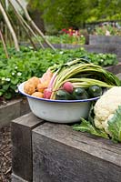 Home grown harvested vegetables including, Potatoes, Carrots, Beetroot, Courgettes and Cauliflower