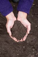 Holding Sandy soil