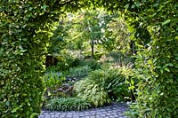 Borders around pond viewed through arch of Hornbeam. Planting includes Pontederia cordata, Nymphaea - water lily, Hakonechloa macra 'Aureola', Ligularia dentata 'Holiday', Acorus. Laura Dingemans, The Netherlands