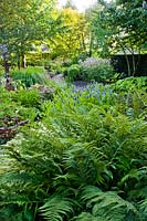 Shady borders with Polystichum setiferum, Pontederia cordata, Hakonechloa macra 'Aureola', Ligularia dentata 'Holiday', Acorus. Laura Dingemans, The Netherlands