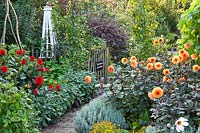 Kitchen garden in late summer with herb and vegetable borders and dahlias. Tagetes tenuifolia 'Gnom', Dahlia 'David Howard',  Dahlia 'Garden Miracle', Santolina chamaecyparissus andrunner beans. Design: Alie Stoffers