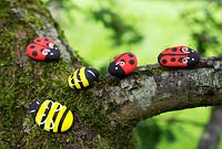 Garden craft making painted Bumble bees and Ladybirds with stones.  