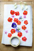 Printing onto fabric with fresh flowers. Cut pieces of masking tape to loosely fasten the flowers to the fabric to stop them moving around.