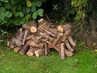 Construction of garden hedgehog house from recycled wood.