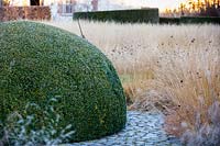 Domed box topiary with Molinia caerulea 'Poul Peterson', purple moor grass, and Dianthus carthusianorum, German pink, in winter at Bury Court Gardens, Hampshire. Designed by Piet Oudolf and John Coke.