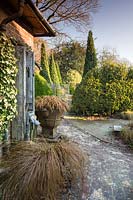 Grasses in containers with Box topiary in Charlotte and Donald Molesworth's garden, Kent, UK.