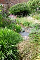 A small low maintenance modern cottage garden. York stone and gravel pathway meander through planting with Stipa tenuissima, Hakonechloa macra 'Aureola', Stipa arundinacea, Verbena bonariensis, Thyme, Verbascum, Lychnis coronaria, to the weeping Birch - Betula pendula 'Youngii'.