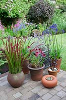 Collection of pots in small garden filled with Imperata cylindrica 'Red Baron', Agapanthus, Echinacea purpurea, Lavender, Sempervivum