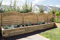 Newly planted raised beds with shrubs and perennials supplied by Garden on a roll.