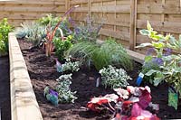 Newly planted raised bed with labelled plants supplied by Gardens on a roll 