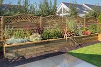 Raised bed with selection of mature shrubs and perennials supplied by Antony Henn from Garden on a roll