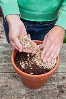 Man adding a thin layer of grit and gravel to prevent compost washing away when watering