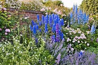 Summer border in walled garden includes Delphinium elatum, Eryngium agavifolium, Rose 'Constance Spry', Geranium pratense 'Album', Nepeta 'Six Hills Giant', Rosa 'Awakening', Rose 'A Shropshire Lad', Rose 'Paul's Himalayan Musk'. Design: Carol Bruce