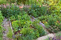 Vegetable and herb beds: lettuces, swiss chard, beans, savory peppers, oregano, parsley marigolds, dahlias, kohlrabi.