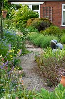Creative planting with Nigella damascena and euphorbia around the gravel herb garden