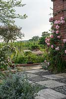 The house patio with terracotta pots. A pink rose grows against the house wall.